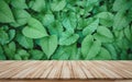 Wooden board for montage products display for sale promote with beautiful green leave background