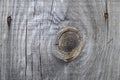 Wooden board with nails. Wood desk with old snag. Wooden log with cracks. Crack in the wood Royalty Free Stock Photo