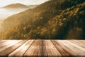 Wooden Board Product Display Montage or Background. Forest Theme Royalty Free Stock Photo