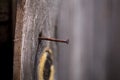 Wooden Board with a rusty nail Royalty Free Stock Photo