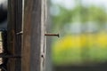 Wooden Board with a rusty nail Royalty Free Stock Photo