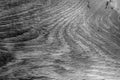 Wooden board texture in black and white Royalty Free Stock Photo