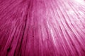 Wooden board texture with blur effect in pink tone Royalty Free Stock Photo