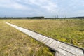 Wooden board walk over the Obary peat bog in Poland