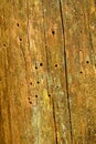 Wooden fence board background interior or exterior surface Royalty Free Stock Photo