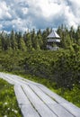 Wooden board way and a distant tower