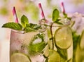 On wooden boards glasses with mohito and mint sprig.