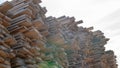 Wooden boards, lumber, industrial wood, timber. Pine wood timber stack of natural rough wooden boards on building site Royalty Free Stock Photo