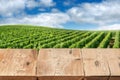 Wooden boards or table top against blurred vineyard under blue sky on background. Use as template for display or montage Royalty Free Stock Photo