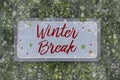 Wooden boards with winter break Royalty Free Stock Photo