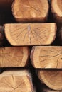 Wooden boards. Woodworking industry. Building materials made of wood.Stacks of lumber are stored in warehouse. Vertical