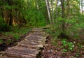 Wooden Boardwalk