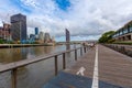 Wooden boardwalk along Brisbane river.