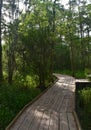 WOoden Boardwalk in the Bayou of Southern Louisiana Royalty Free Stock Photo