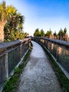 Wooden boardwalk bridge in the swamp Royalty Free Stock Photo