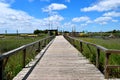 Boardwalk crossing over the marshland