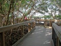 Wooden Boardwalk At Ding Darling Wildlife Refuge