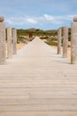 Wooden boardwalk, dune landscape Portugal Royalty Free Stock Photo