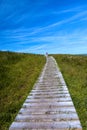 A wooden boardwalk, green grass and blue sky