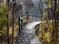 Wooden boardwalk at lake Wilkie in the Catlins Coastal area of the South Island of New Zealand