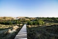 Wooden boardwalk leading away through coastal dunes vegetation