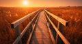 Wooden Boardwalk Leading Through Golden Hour Marsh Sunset Royalty Free Stock Photo