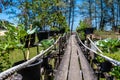 A wooden boardwalk leading to the beach between ornamental trees planted