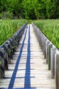 Wooden Boardwalk Through the Marshes