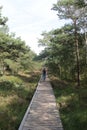 Wooden boardwalk in the marshland Pietzmoor, North Germany.