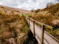 Wooden boardwalk over muddy swampy boggy ground in the country side.