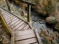 Wooden boardwalk over muddy swampy boggy ground in the UK country side.