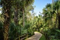 Wooden boardwalk in the recreation area in the Ocala National Forest located in Juniper Springs Florida Royalty Free Stock Photo