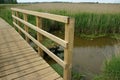 Wooden boardwalk through reedbed with bridge Royalty Free Stock Photo