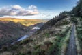 Wooden boardwalk on the top of a mountain with a view on Glendalough lakes and forest. Wicklow Mountains, Ireland Royalty Free Stock Photo