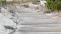 Wooden boardwalk trail, sand dune, California coast. Footpath walkway or footway