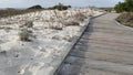 Wooden boardwalk trail, sand dune, California coast. Footpath walkway or footway