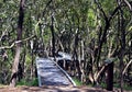 Bicentennial park, Sydney, Australia Royalty Free Stock Photo