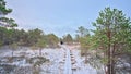 Wooden boardwalk through wetlands with pine tries in winter in the Estonian countryside