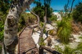 Wooden boardwalk in whitehaven beach in Australia Royalty Free Stock Photo