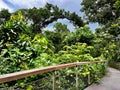 Wooden boardwalk at Windsor nature park