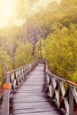 Wooden boardwalWooden boardwalk in tropical swampland heading into a forest of Sarawak Royalty Free Stock Photo