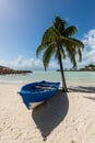 Wooden boat on the beach under a palm tree - the Gosier in Guadeloupe Royalty Free Stock Photo