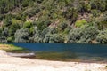 Wooden boat, blue water and trees. River beach landscape Royalty Free Stock Photo