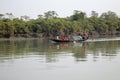 Wooden boat crosses the Ganges River in Sundarbans, West Bengal, India Royalty Free Stock Photo