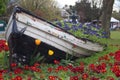 Wooden boat filled with pink and red flowers. Beautiful flower bed Royalty Free Stock Photo