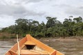 Wooden boat front and green jungle landscape, sailing in the muddy water of the Beni river, Amazonian rainforest, Bolivia Royalty Free Stock Photo