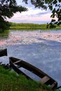 A wooden boat in a quiet pond overgrown with water-lilies standing near the green shore Royalty Free Stock Photo