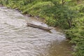 Wooden Boat at Riverfron in Ecuadorian Amazonia