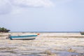 Wooden boat on tropical beach. Low tide landscape with fishing boats. Sailboats on low tide of Indian ocean. Zanzibar seacoast. Royalty Free Stock Photo