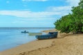 Wooden boats on the beach with green plants Royalty Free Stock Photo